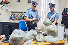 Carabinieri e la droga sequestrata