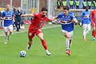 Sampdoria Cosenza, Ricciardi in azione