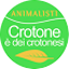 CROTONE  DEI CROTONESI