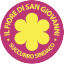 IL FIORE DI SAN GIOVANNI